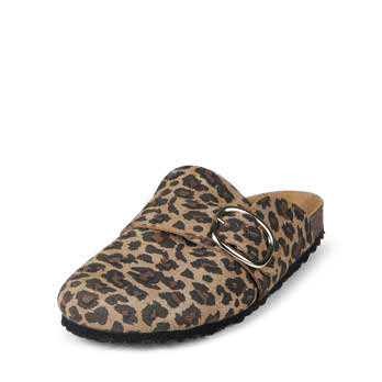 MS 77 — Leopard